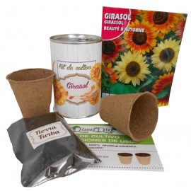 Kit de cultivo Girasol en lata